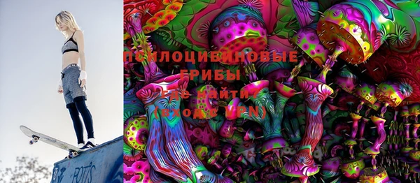 индика Нефтегорск