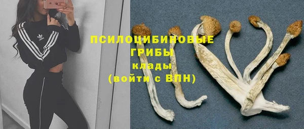 амф Надым