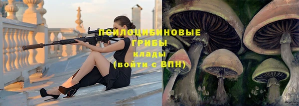 гидра Нефтекумск