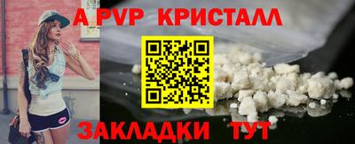 спиды Гатчина