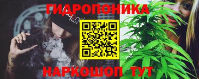 спиды Гатчина