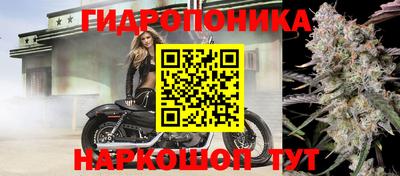 спиды Гатчина