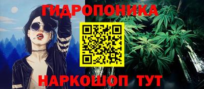 apvp Гай