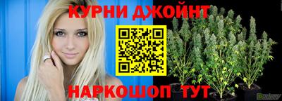 спиды Гатчина