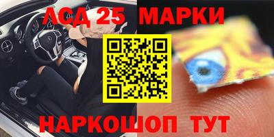 спиды Гатчина