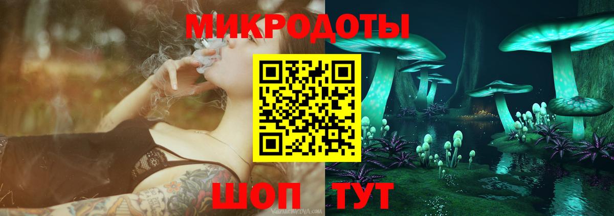 Галлюциногенные грибы Cubensis Касимов