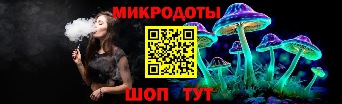 Касимов  Галлюциногенные грибы Psilocybine cubensis  Вход с VPN 